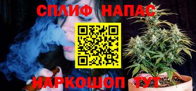 сатива Гусиноозёрск